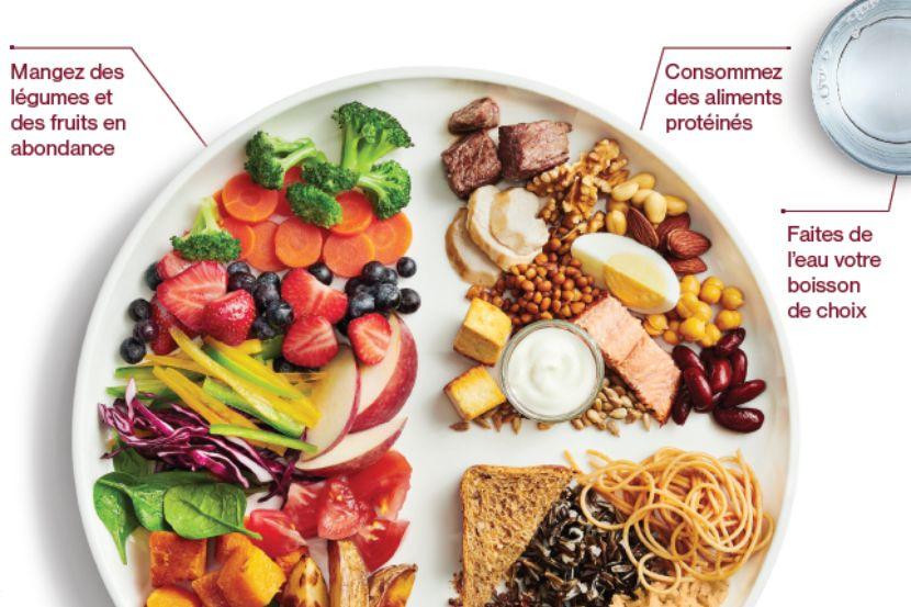 Aperçu du guide alimentaire canadien