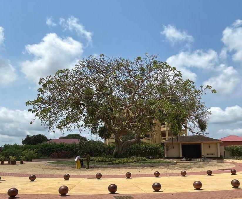 arbre devant maison dans le village de Ouidah au Bénin