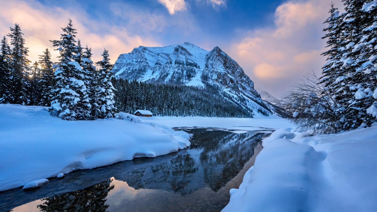 paysage hivernal