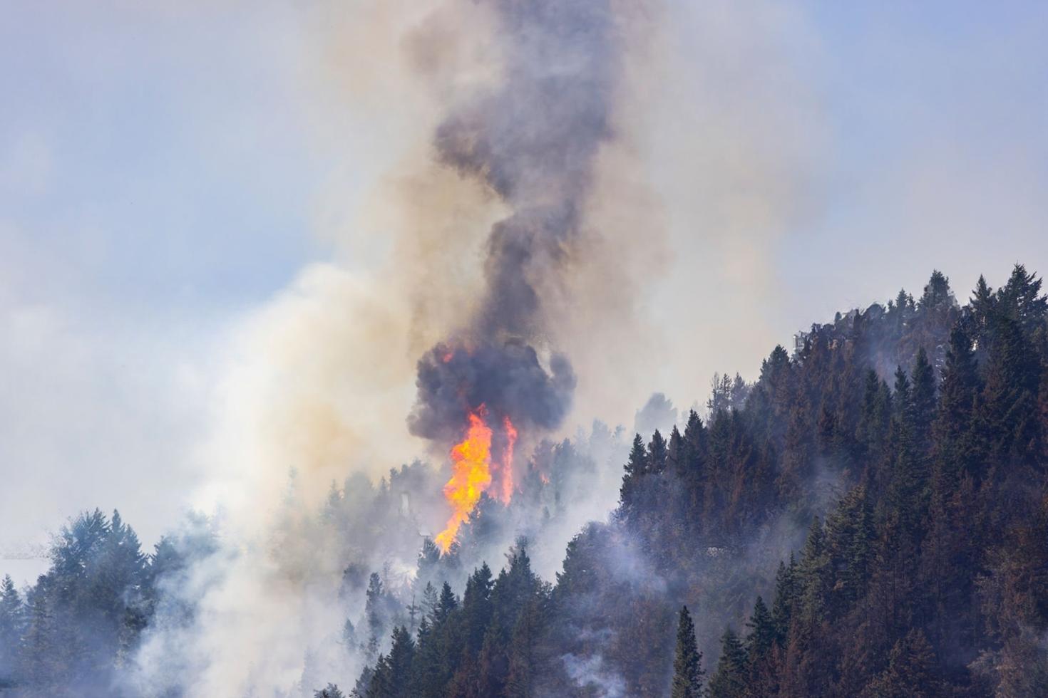 wildfires