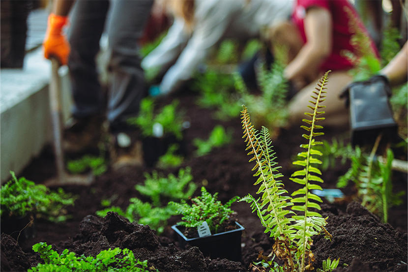 Habitats pour les pollinisateurs