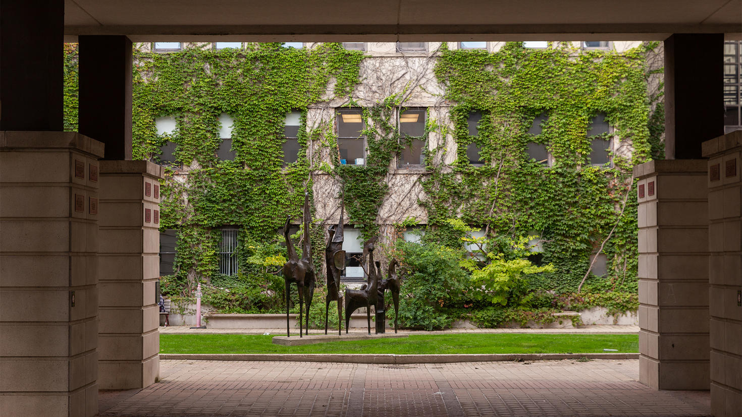 Cour de la Faculté des Arts