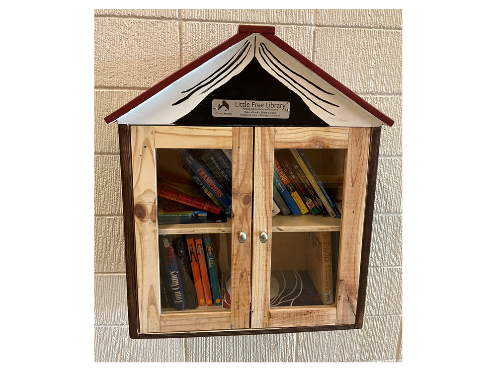 Boîte des Petites Bibliothèques Libres 