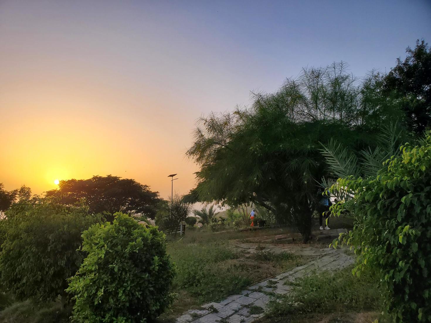 small yard with two small trees in the middle. One person behind one of those threes and another person completely in the background walking in another direction