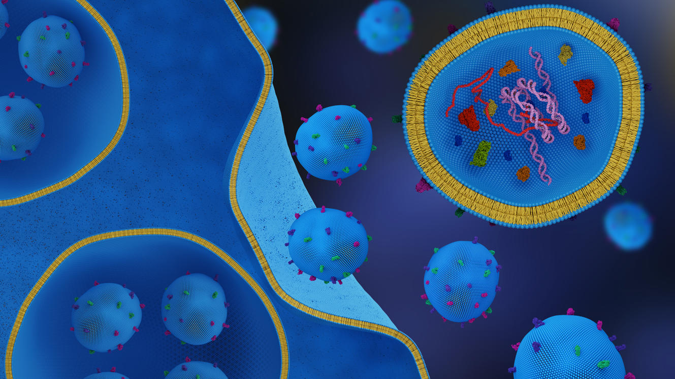 exosomes