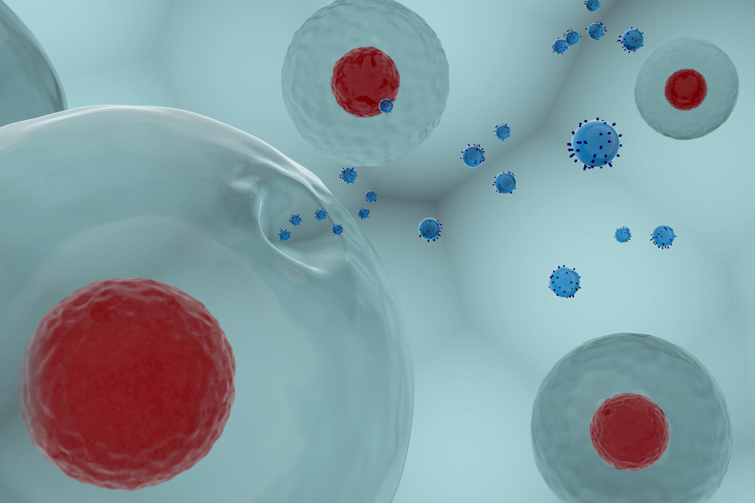 Cells and exosomes