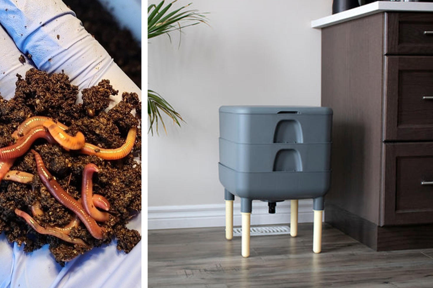 Worm composter.