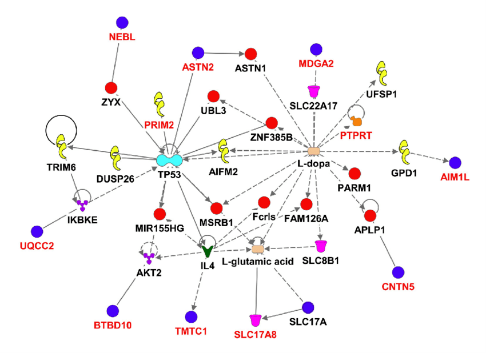Exemple de carte d'interaction IPA