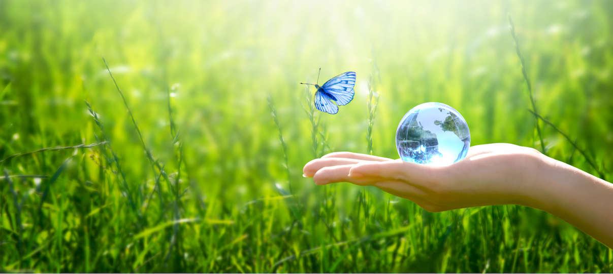 main tenant un globe terrestre avec de l'herbe en arrière-plan