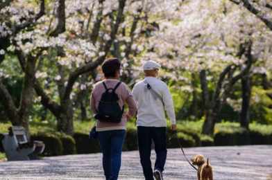 Personnes promenant leur chien.