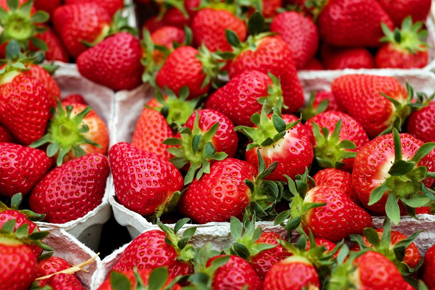 Des scientifiques de l’Université d’Ottawa créent un modèle technologique durable de culture fruitière 