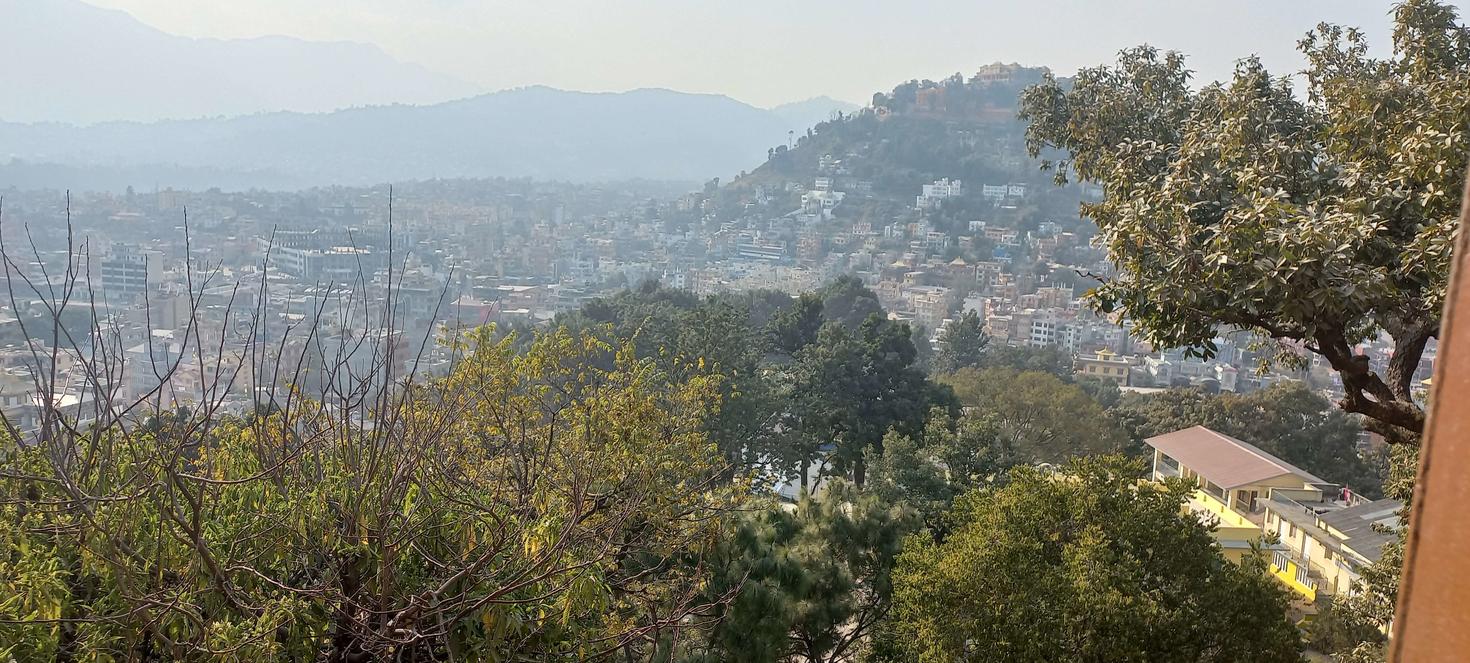 Arbres au premier plan et la ville de Katmandou vue de loin à l'arrière-plan