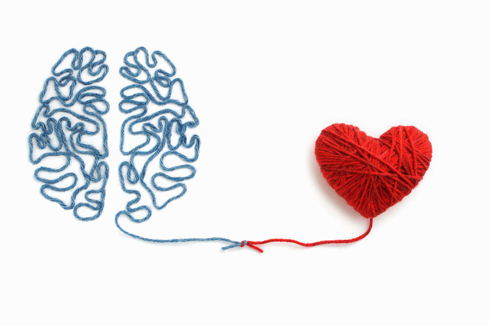 brain heart