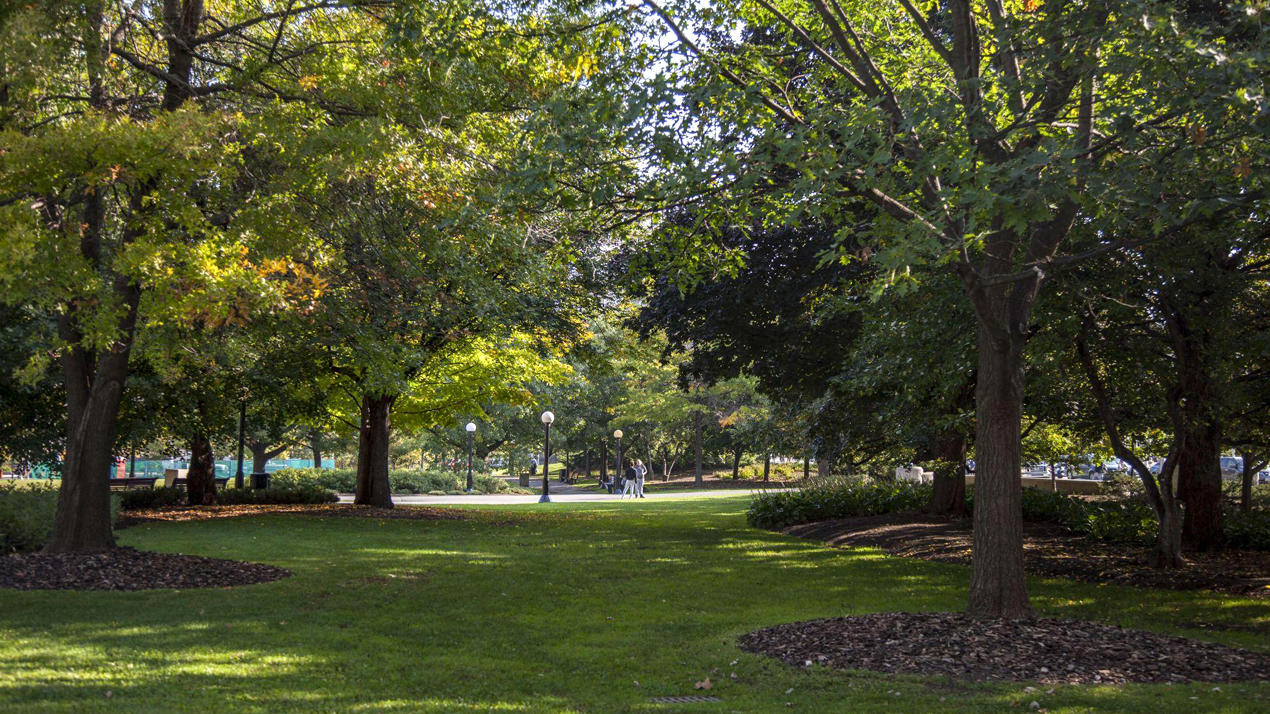 A green lawn surrounded by trees at Confederation Park.