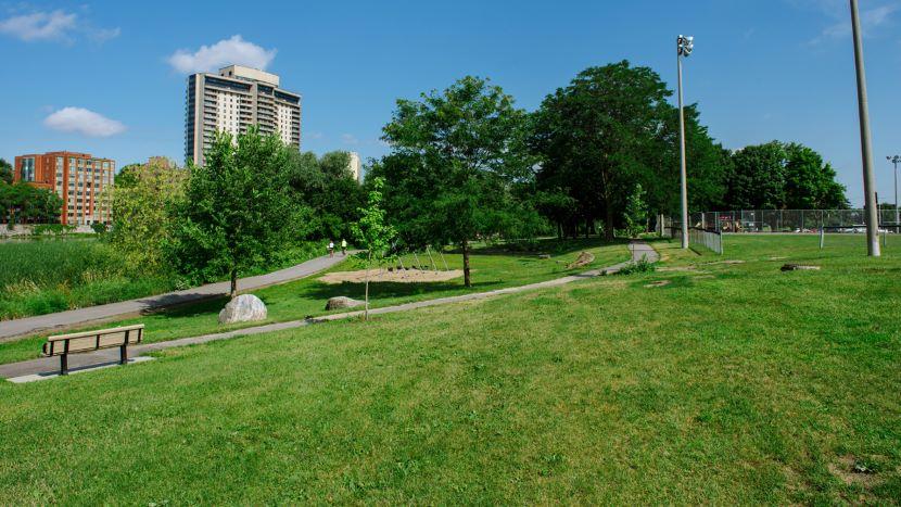 A green hilly field with walking paths at Riverain park.