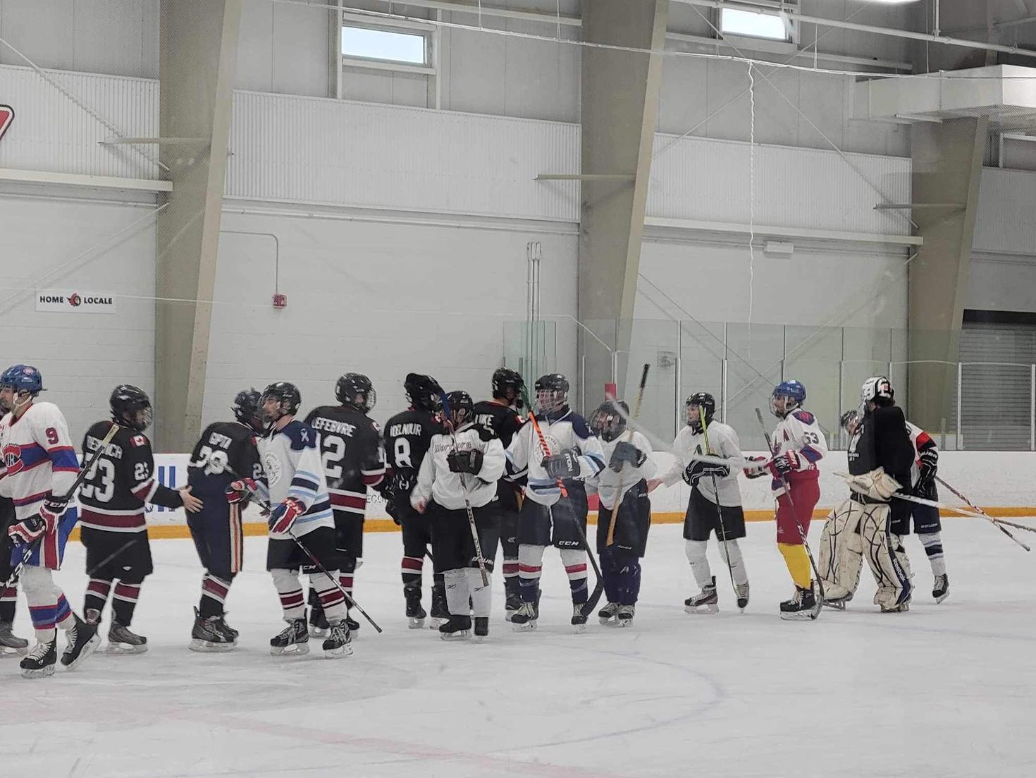 Two teams greet each other at the end of a hockey game.