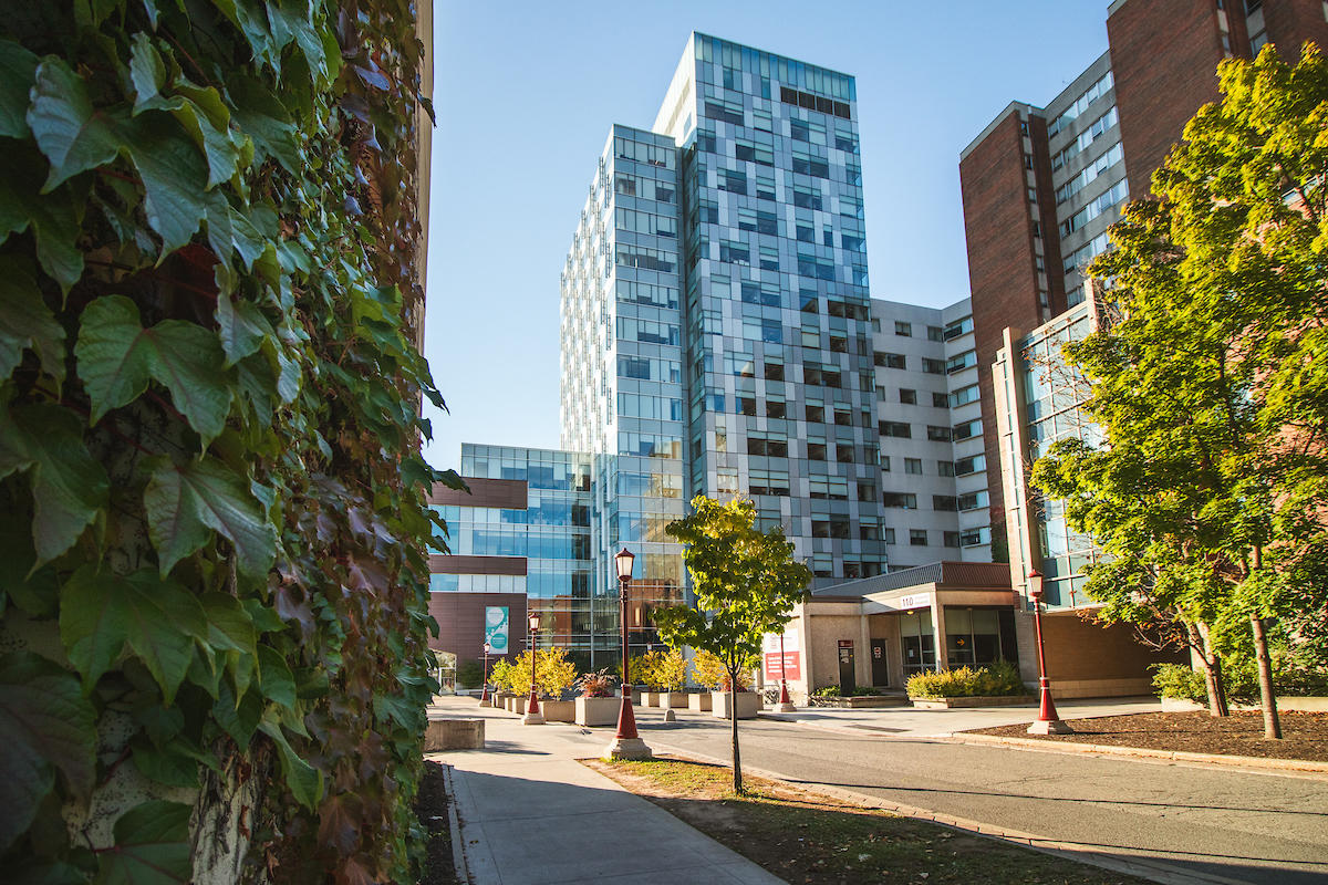 Vue du campus de la Faculté des sciences sociales (FSS)