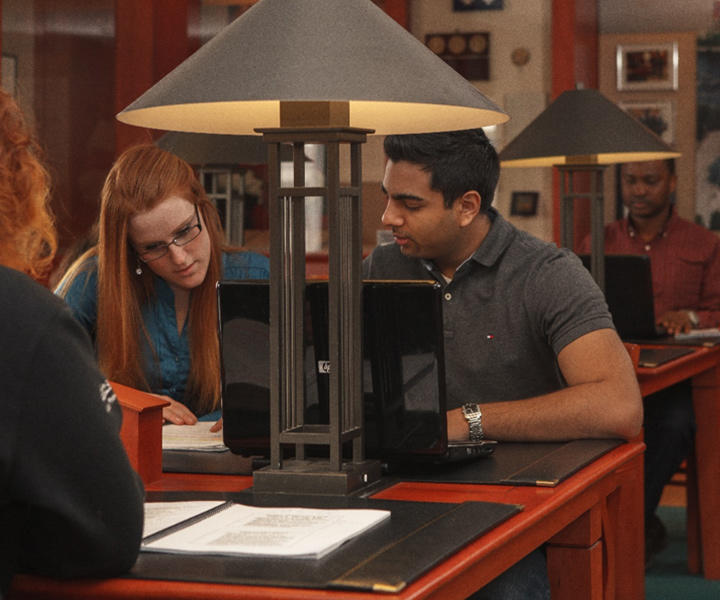 a student and mentor in the library