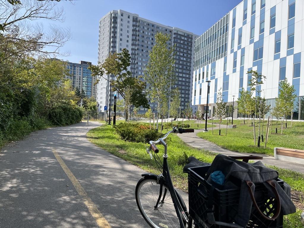 Vélo sur la piste cyclable à Lees