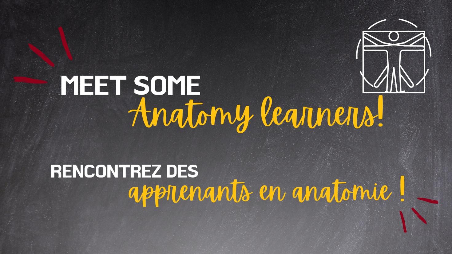 Banner anatomy