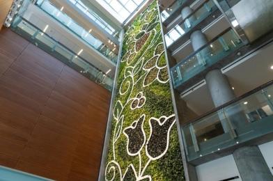 Mur végétal à la Faculté des sciences sociales.