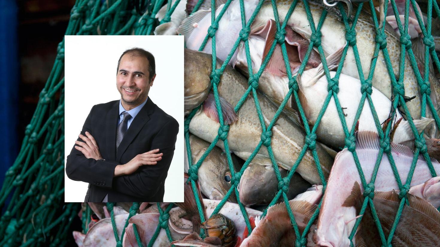 Photo of Professor Monim Benaissa inset. Background is a large net filled with large fish.