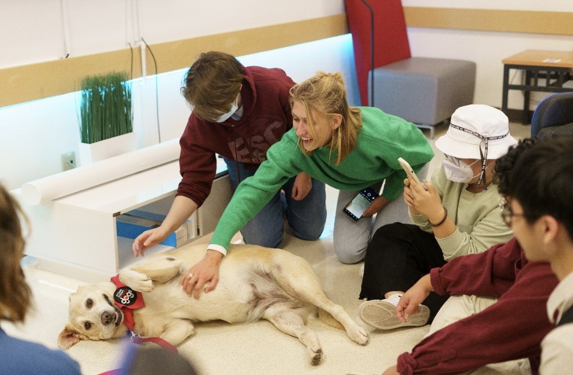Therapy dog and students 
