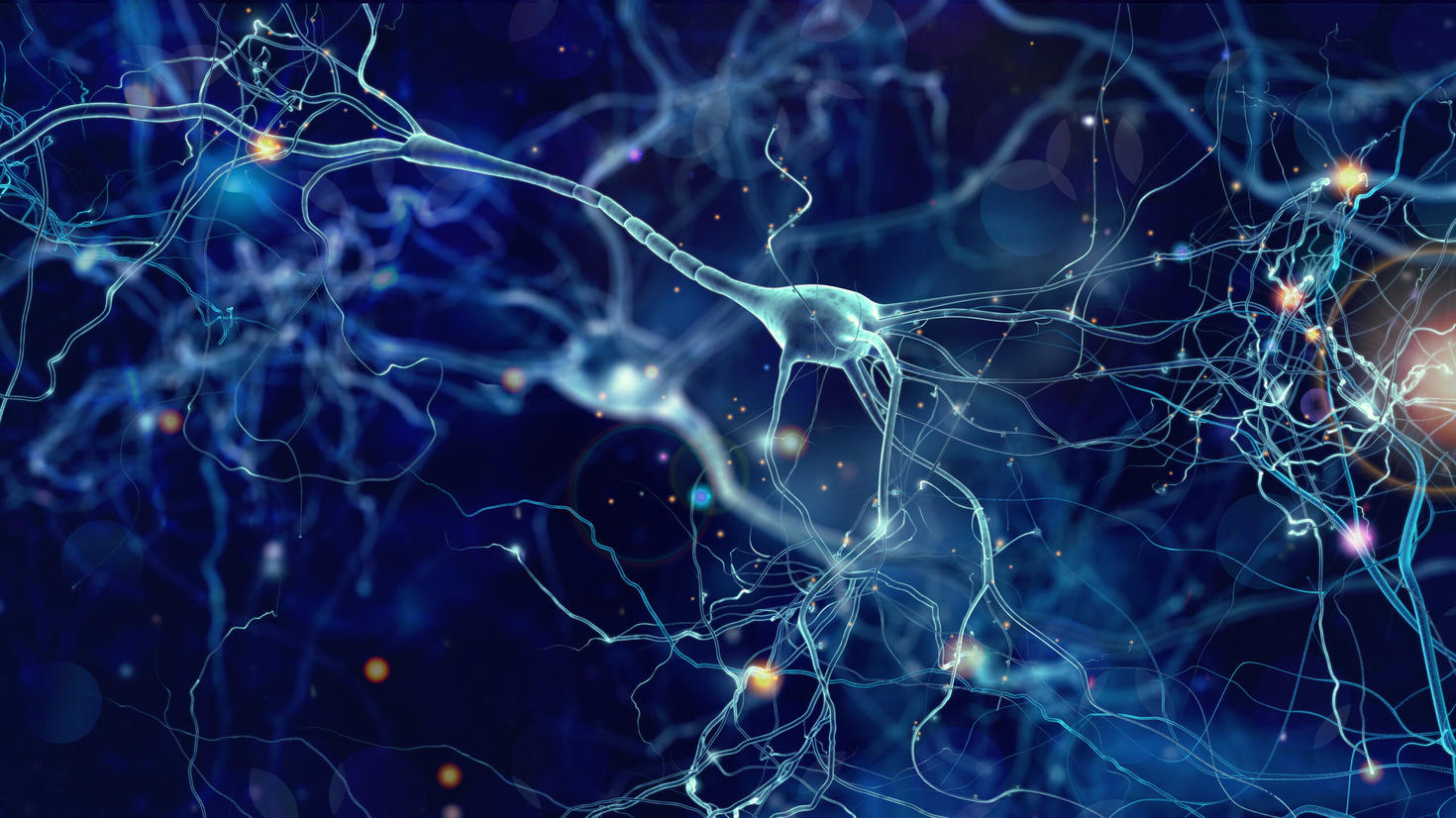 Image illustrée de neurones dans le cerveau