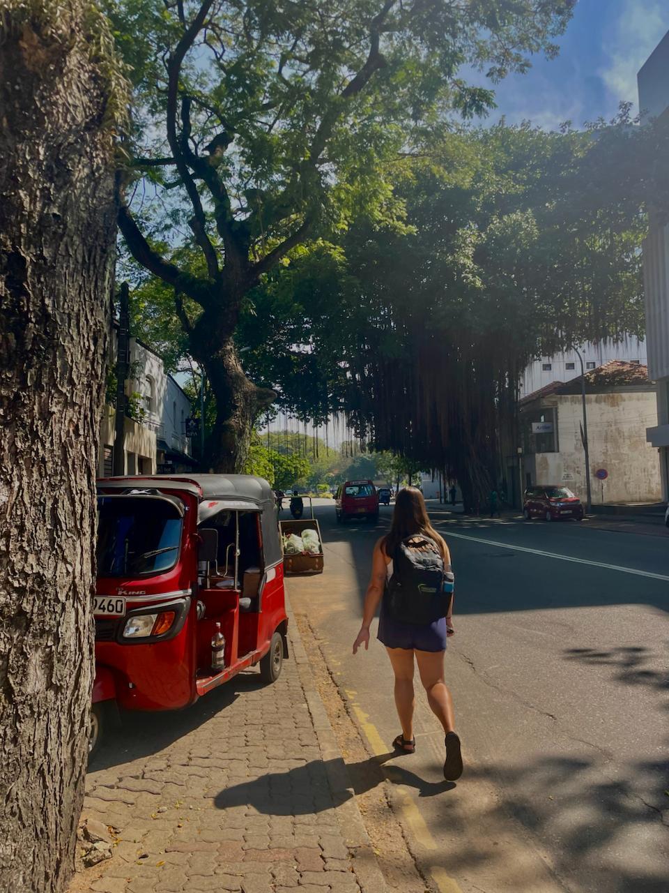 Un passage pittoresque à travers les ruelles animées du Sri Lanka.