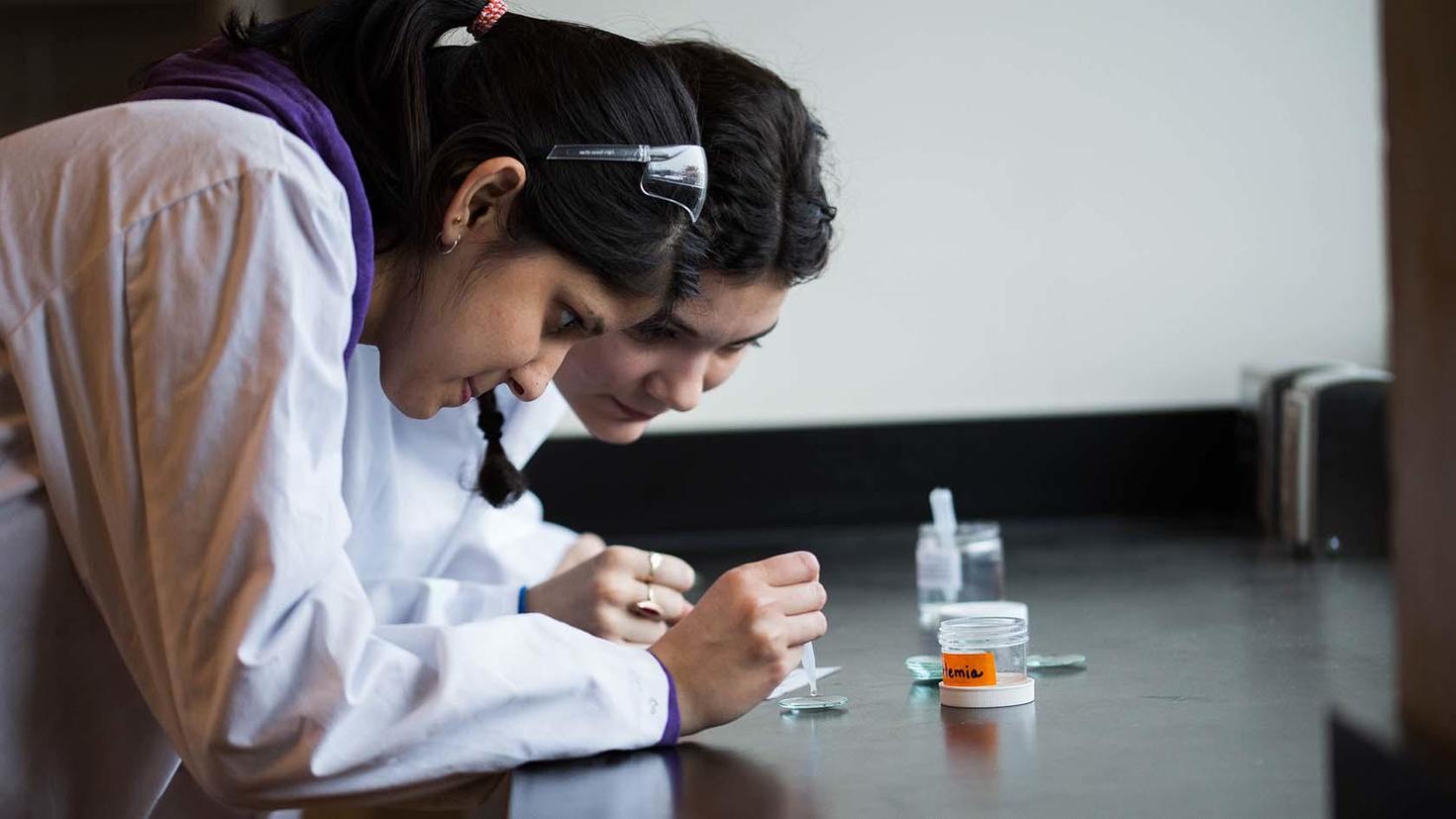 Deux étudiantes travaillant dans un laboratoire