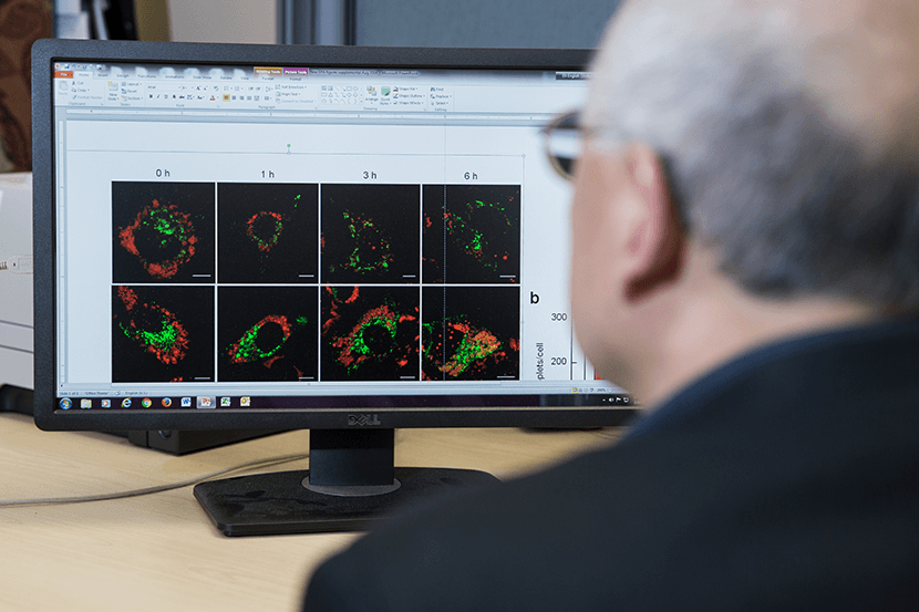 Écran d'ordinateur montrant des résultats de recherche.