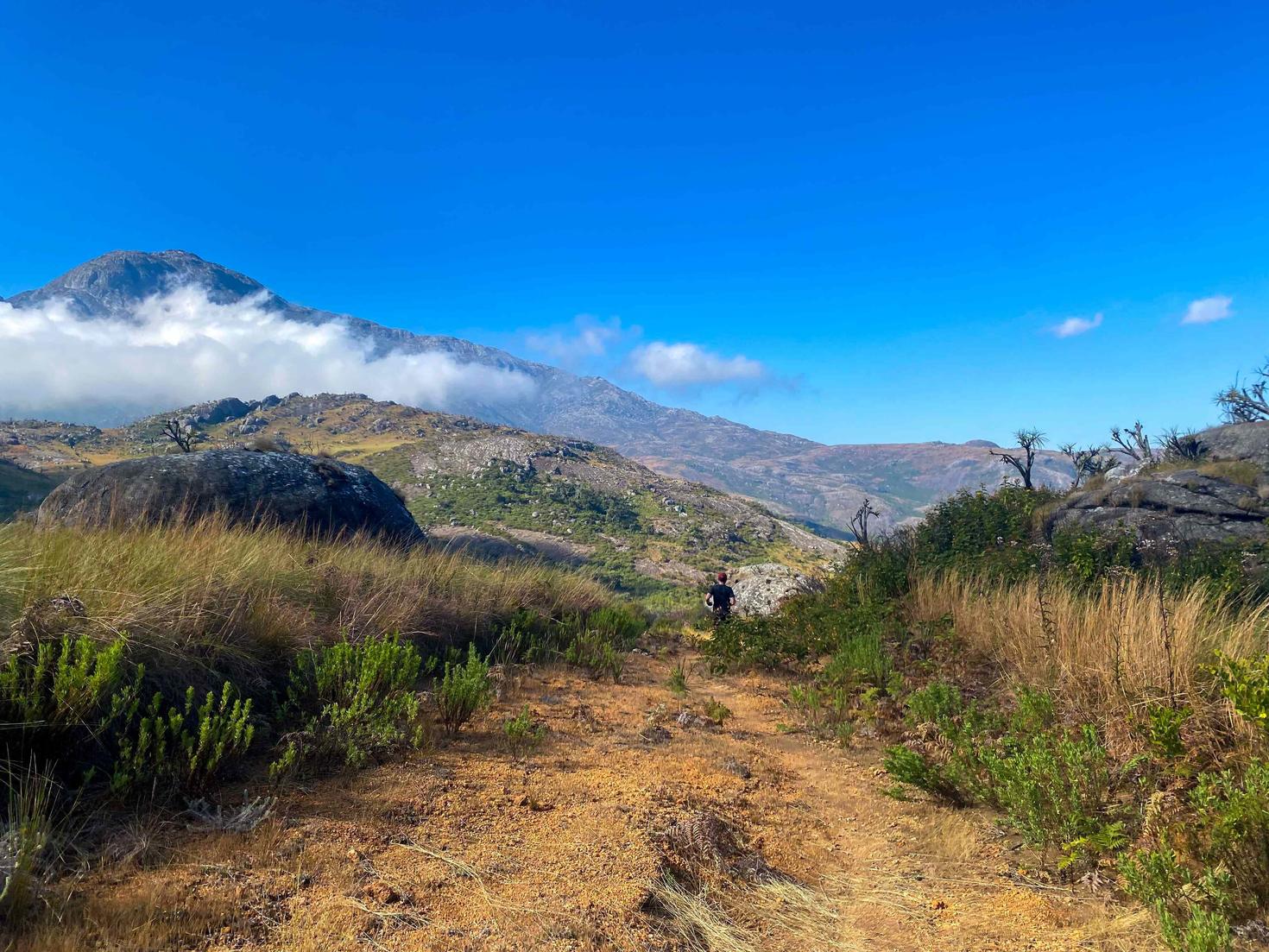 Une belle colline parsemée de rochers et de plantes luxuriantes
