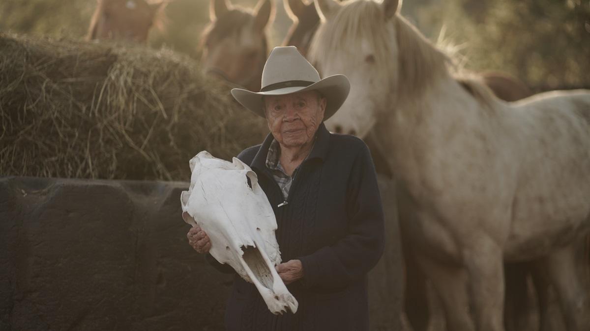 Stelkia and Snklc’askaxa, the Okanagan Nation horses.