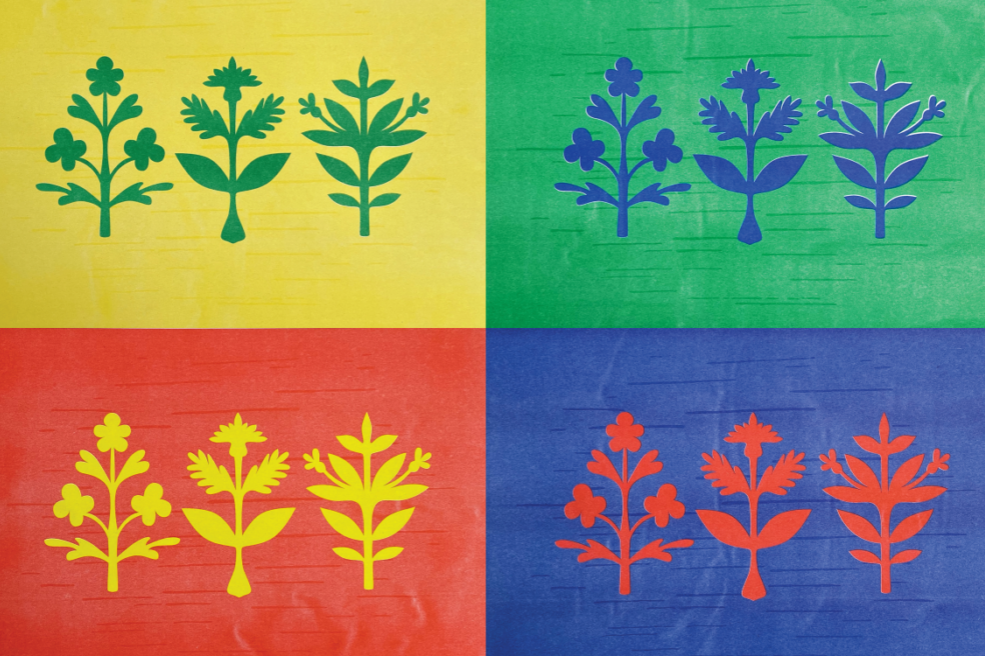 Colourful artwork depicting cutouts of Indigenous medicinal plants
