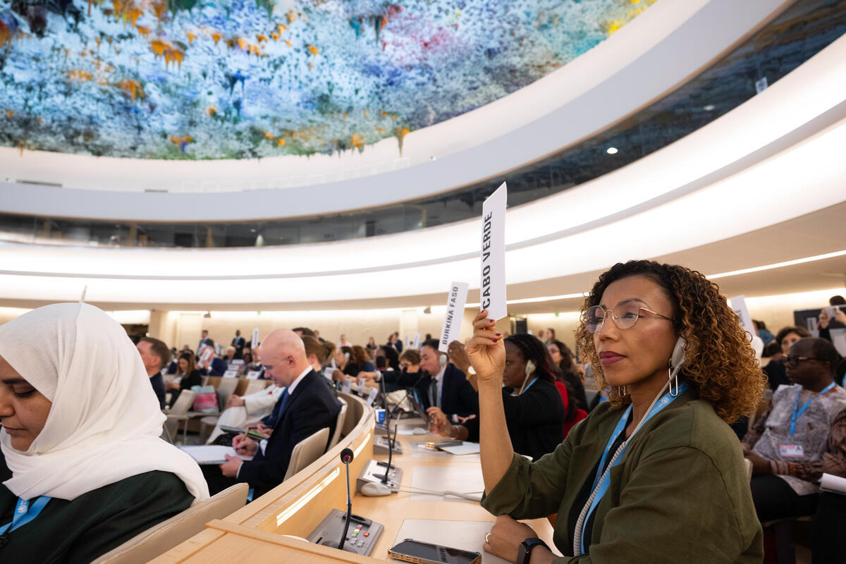 Soixante-Dix-Huitième Assemblée mondiale de la Santé