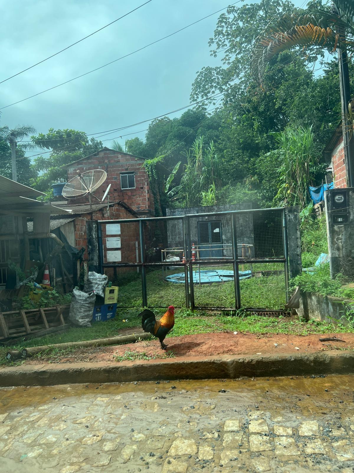 Brazil bursts with color, rhythm, and natural beauty.