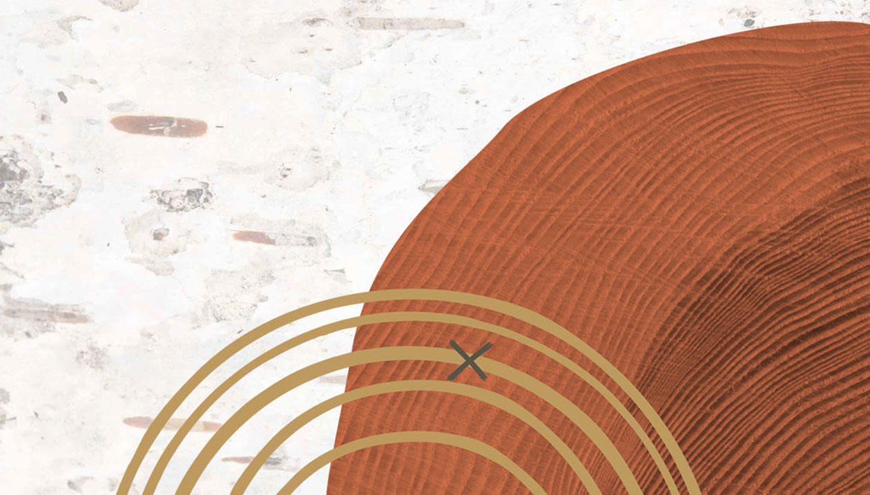 Page couverture du Plan d’action autochtone 2025-2030, avec des formes abstraites de tons terreux sur un arrière-plan texturé.