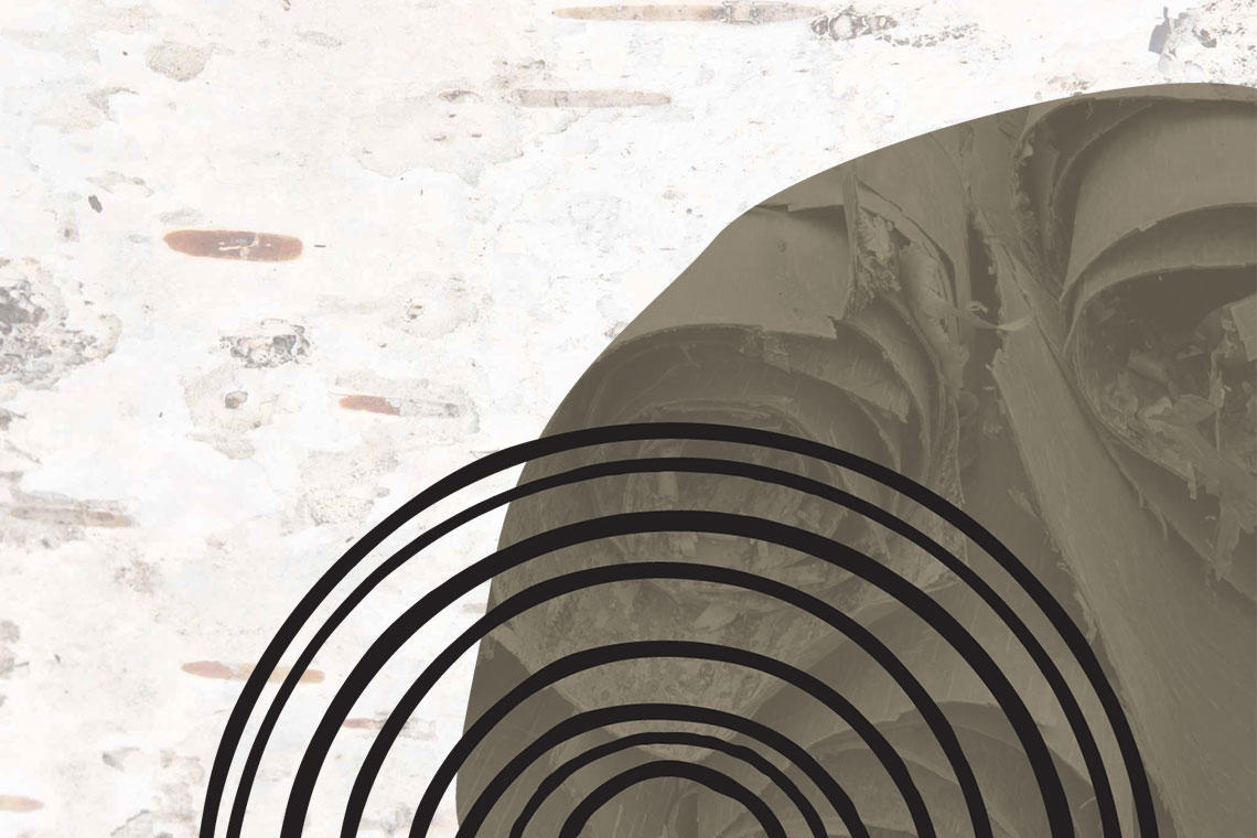 Hoop 3 of the “Indigenous Action Plan 2025–2030” with abstract designs in earthy tones on a textured background.
