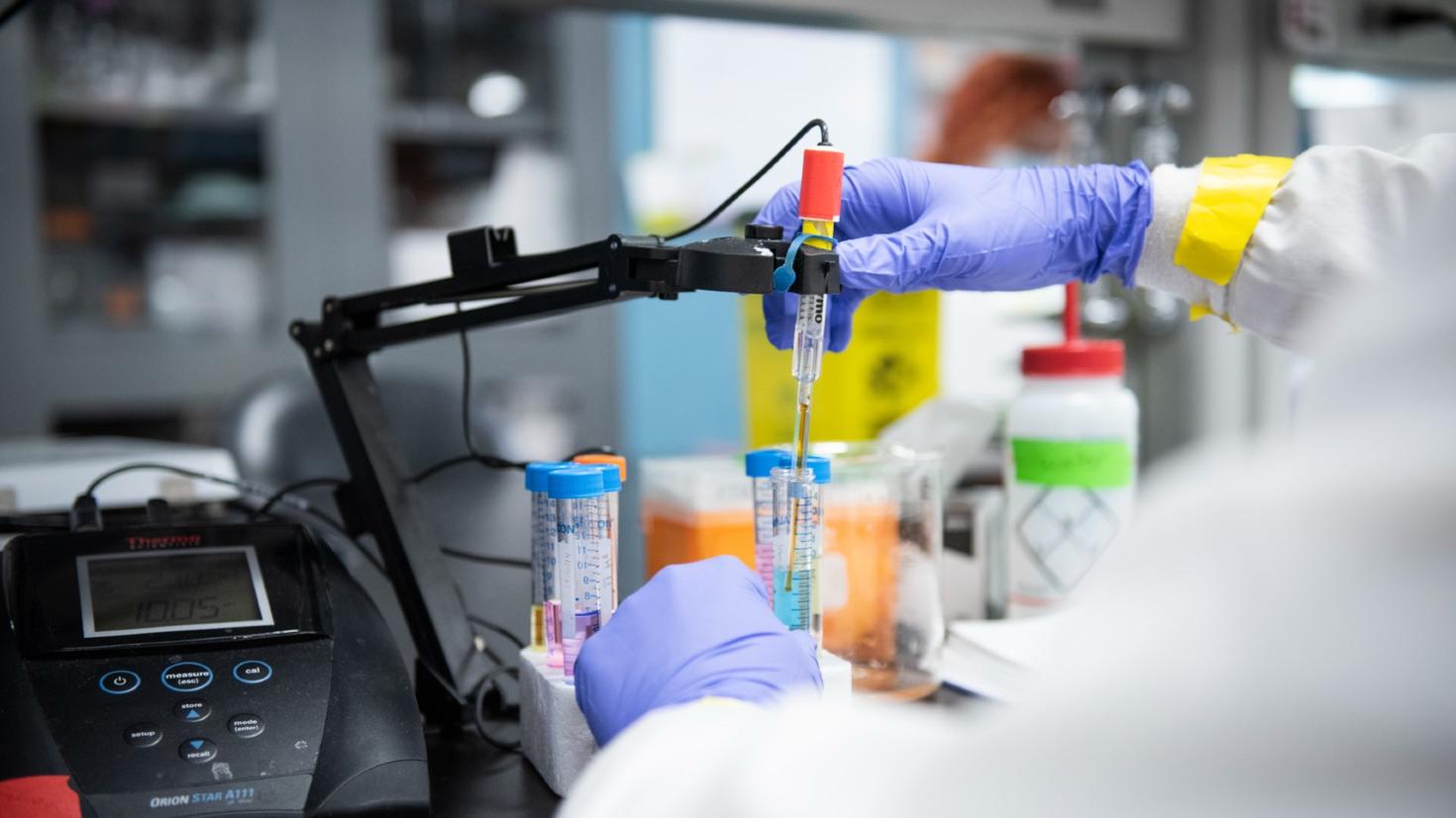 Un chercheur ganté utilise du matériel de laboratoire pour tester des échantillons liquides dans des tubes.