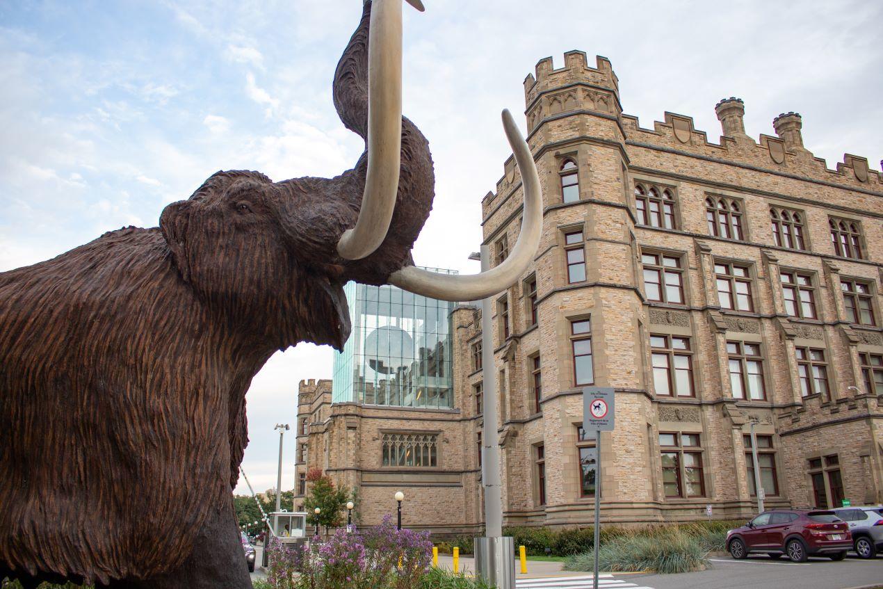 A statue of a woolly mammoth in front of the Canadian Museum of Nature.