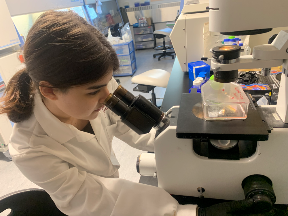 Undergraduate student Kloe Annabelle Mayhew wearing a lab coat and examining a sample through a microscope in a research laboratory.