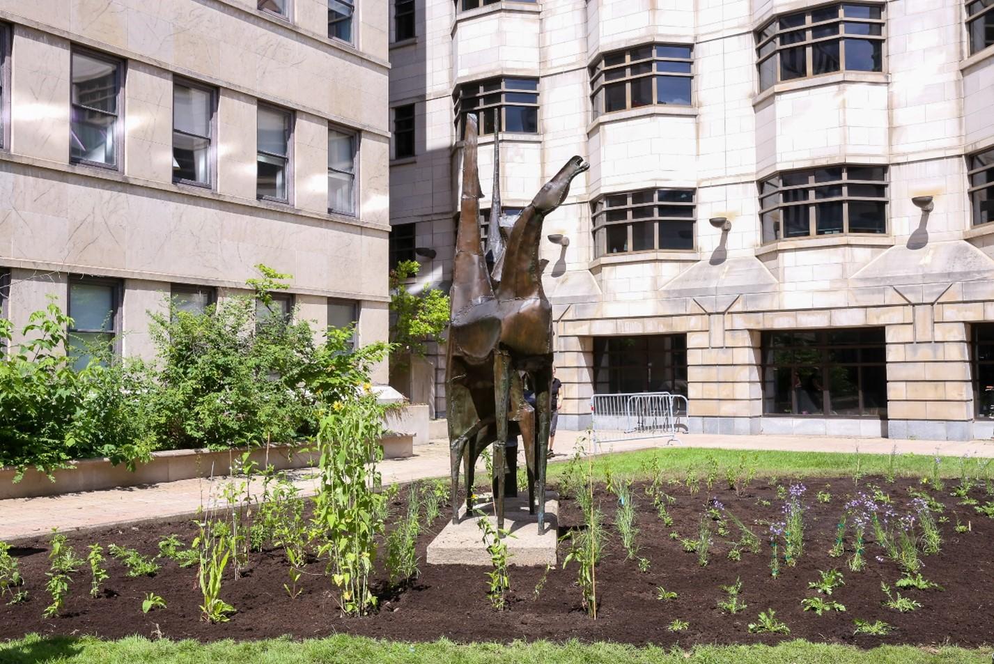 The Simard-Hamelin garden planted with pollinator flowers