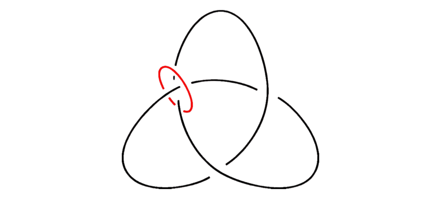 Un nœud trèfle noir avec un petit cercle rouge, marqué d'un β, passant à travers l'un de ses arcs, illustrant la relation entre le nœud et le cercle.