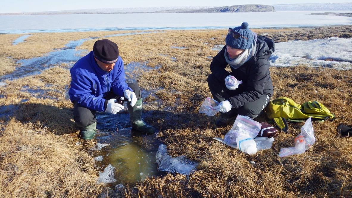 From left to right, Professor Vincent St. Louis (University of Alberta) and Professor Kyra St. Pierre collect water and soil samples from a partially frozen tundra wetland. They’re wearing cold-weather gear and gloves, with scientific equipment and bags around them.