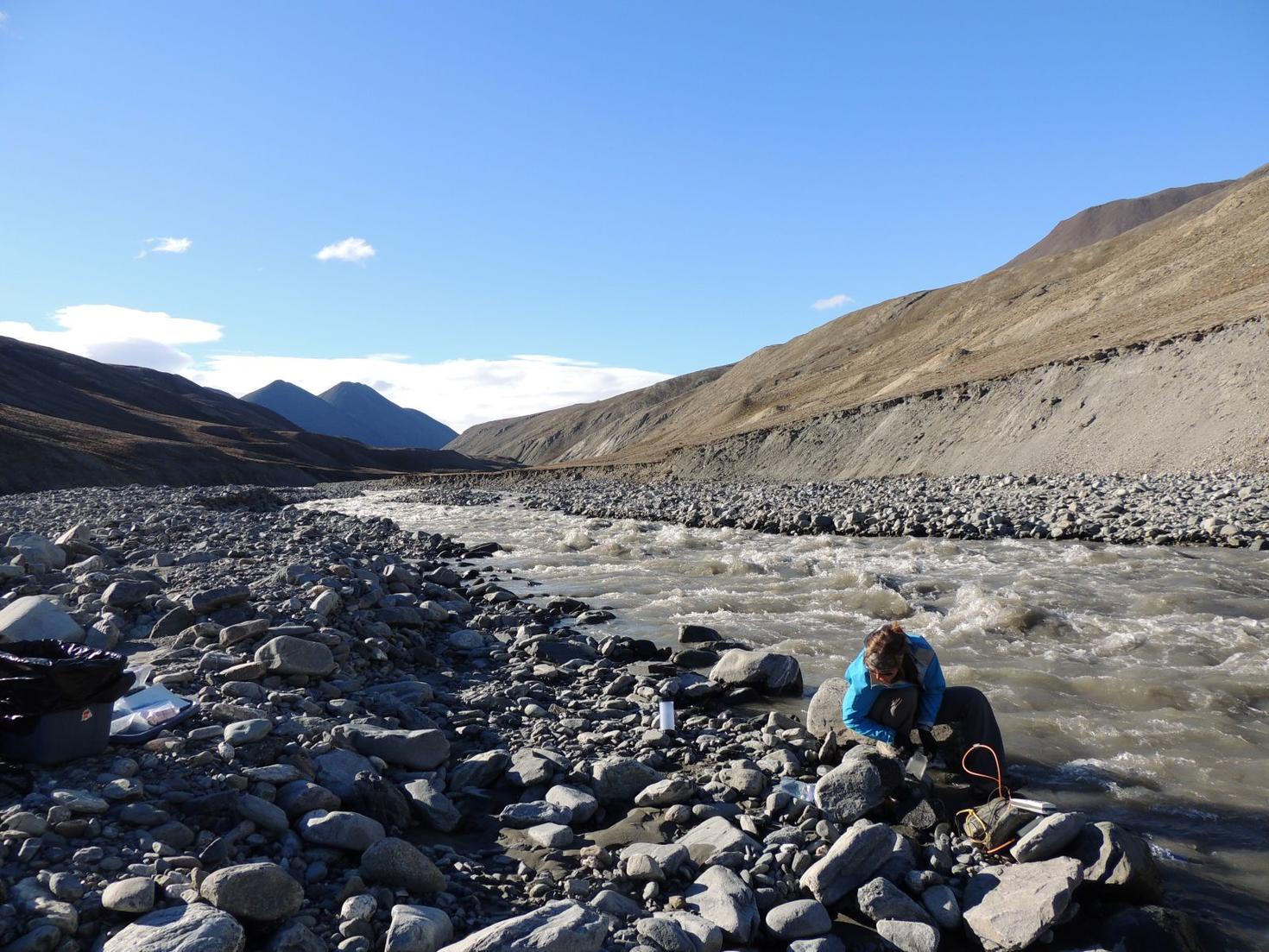 Professor Kyra St. Pierre kneels on a rocky riverbank in a remote, mountainous Arctic landscape, collecting water samples from a fast-flowing stream under a clear blue sky.