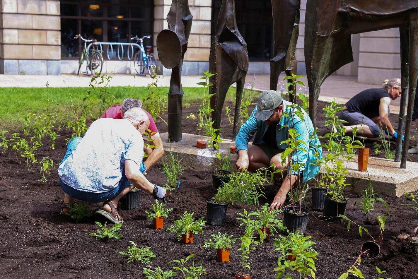 Les personnes qui plantent le jardin Simard-Hamelin