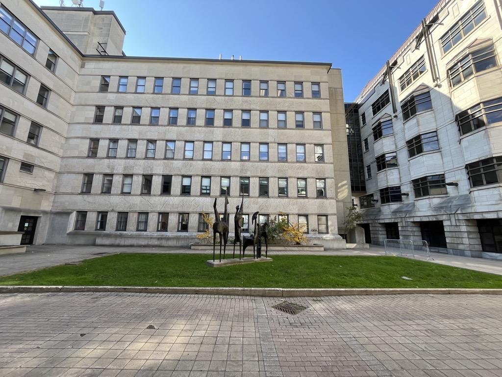 Simard-Hamelin courtyard with a grassy area and a horse statue