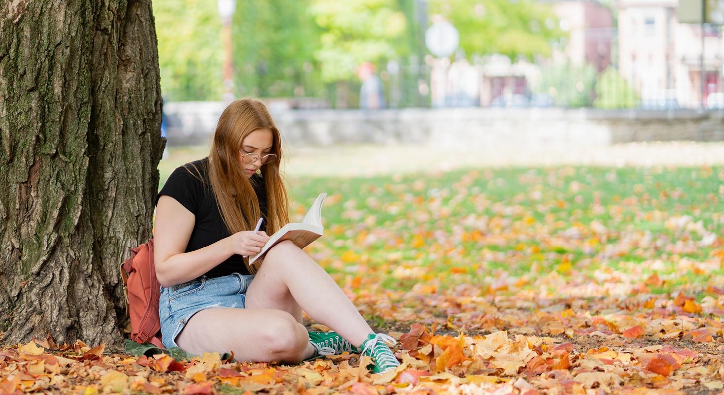 A woman studying under a tree surrounded by fallen autumn leaves.