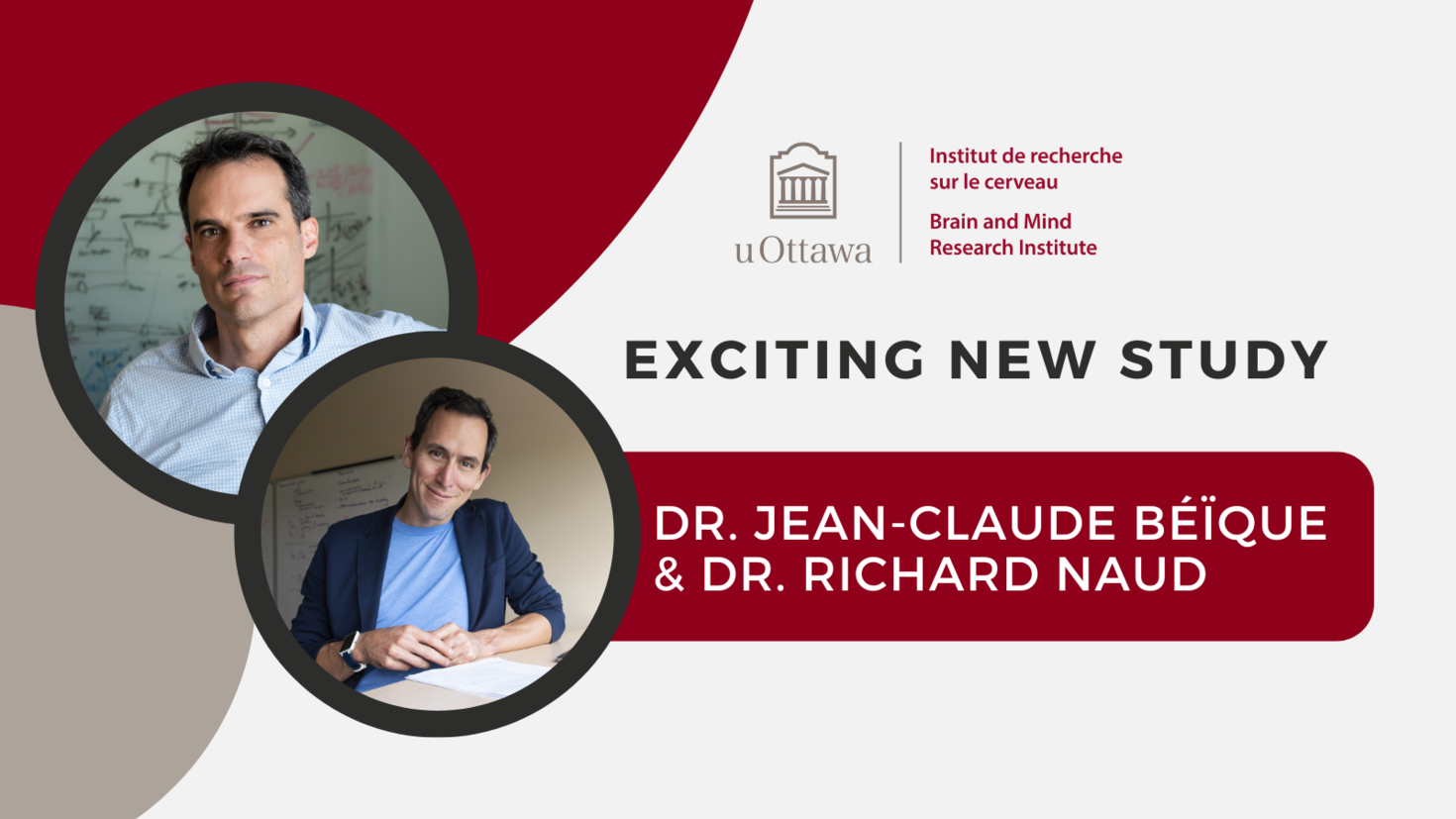 Jean-claude Beique and Richard Naud.