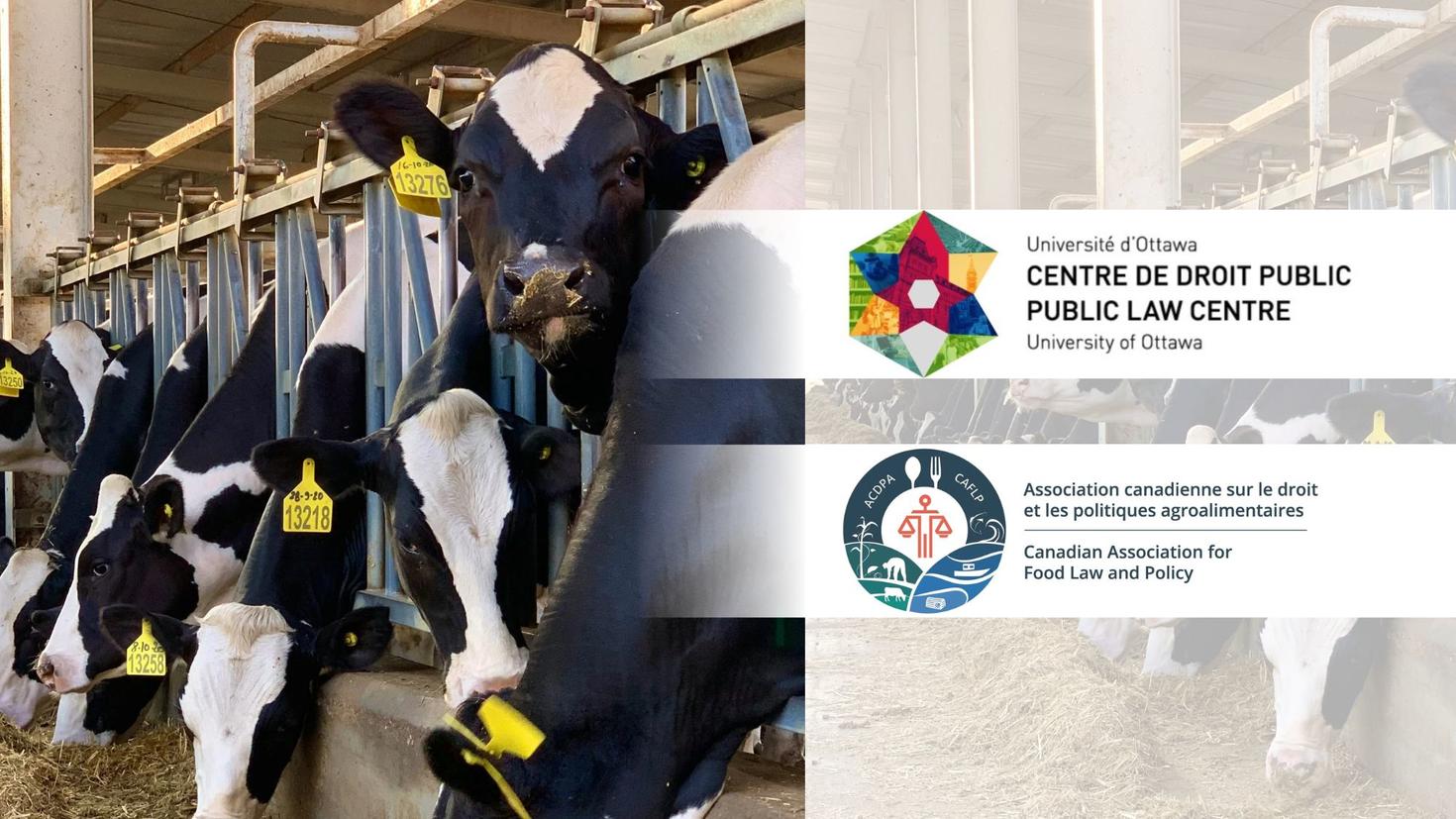 Food-Law-r169-2000x1125